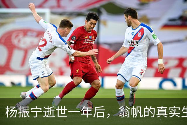 杨振宁逝世一年后，翁帆的真实生活曝光，流言背后的坚韧